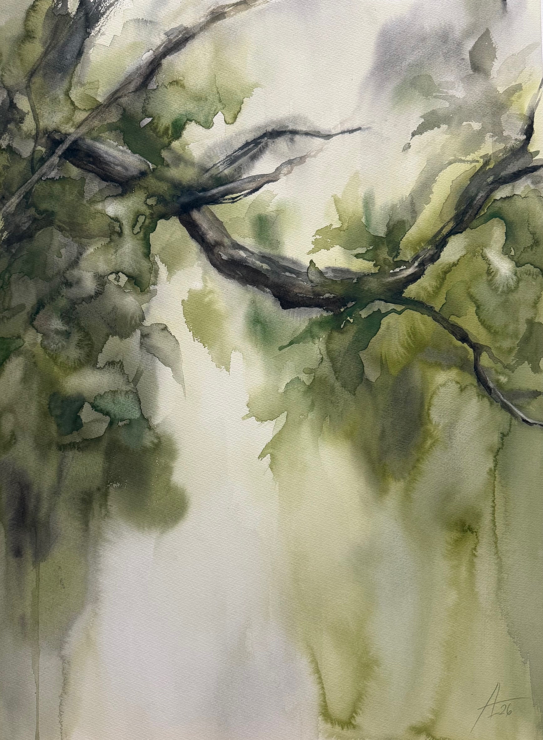 Serie Lejano Oriente